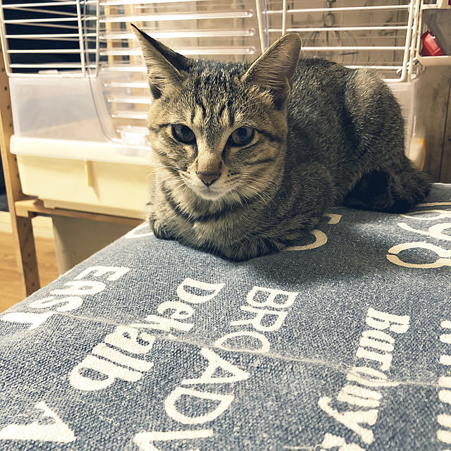 emiさんの実例写真