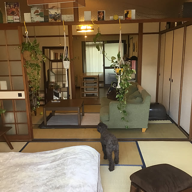 tamaさんの実例写真