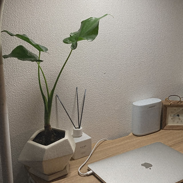 ナチュラル/観葉植物/一人暮らし/照明/北欧...などのインテリア実例 - 2022-02-08 21:24:09