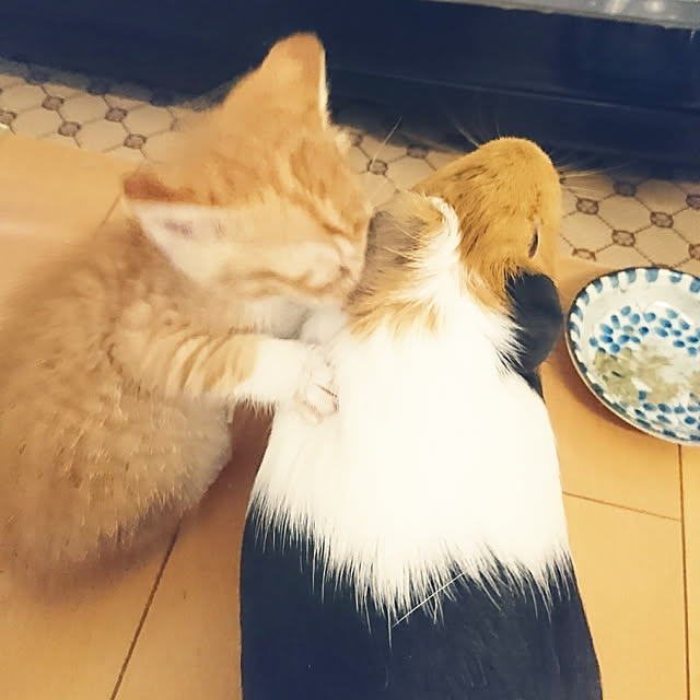 tomoさんの実例写真