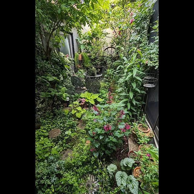 aromameさんの部屋