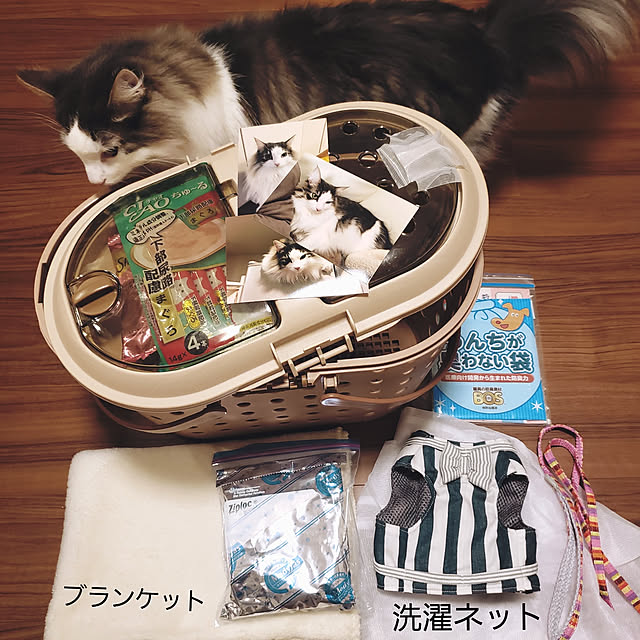 mofさんの実例写真