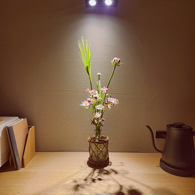 ezさんの実例写真