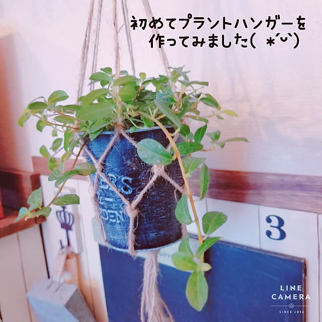 Mikaさんの実例写真