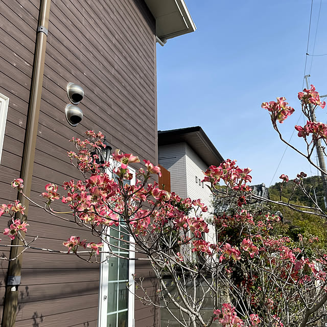 Andaluciaさんの実例写真