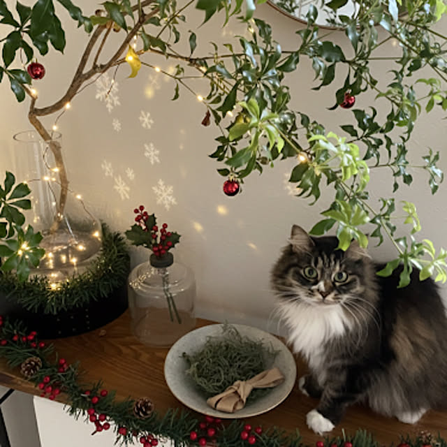 Hisashiさんの実例写真