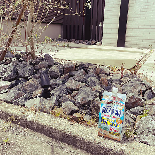 kaichannさんの実例写真