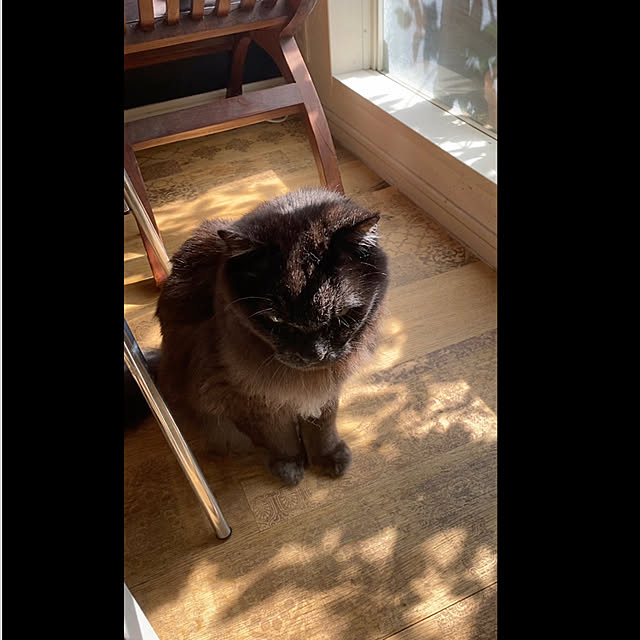 puffloveさんの実例写真
