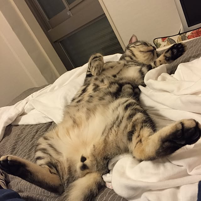 Ryokoさんの実例写真