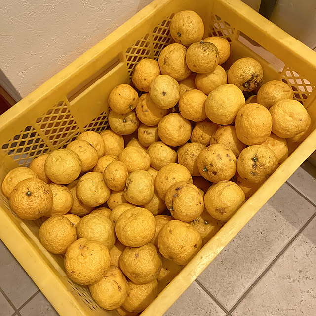 pineappleさんの部屋