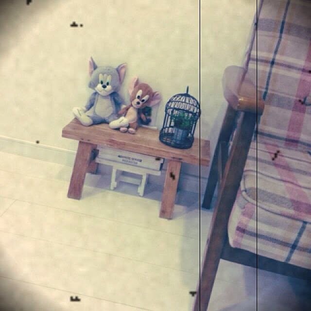 実例写真