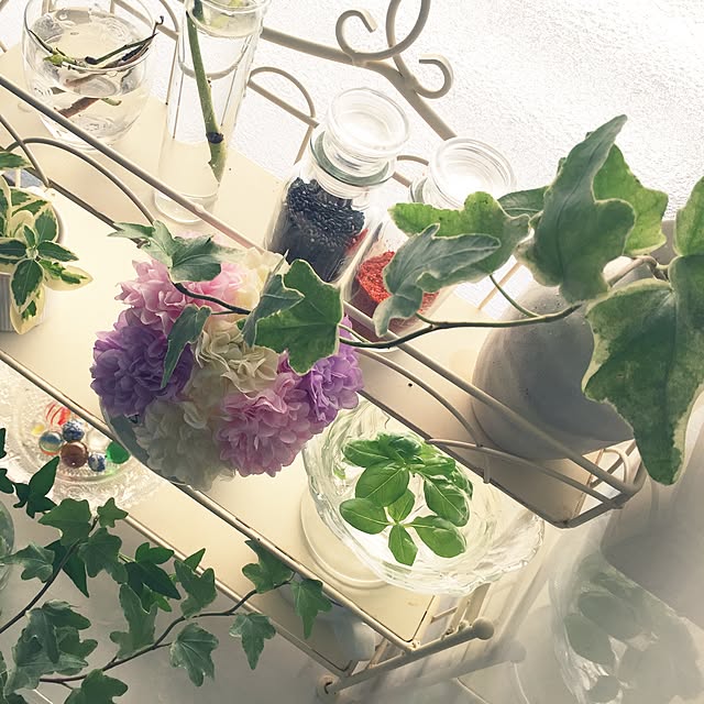 koihiさんの実例写真