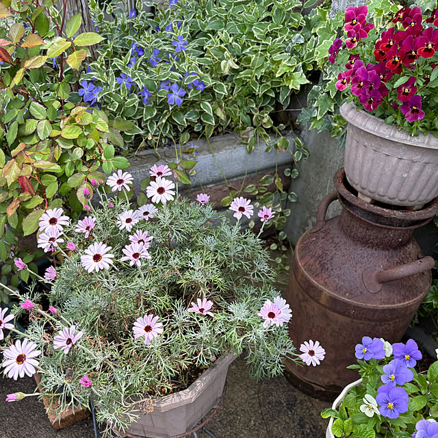 CoCo0617さんの部屋