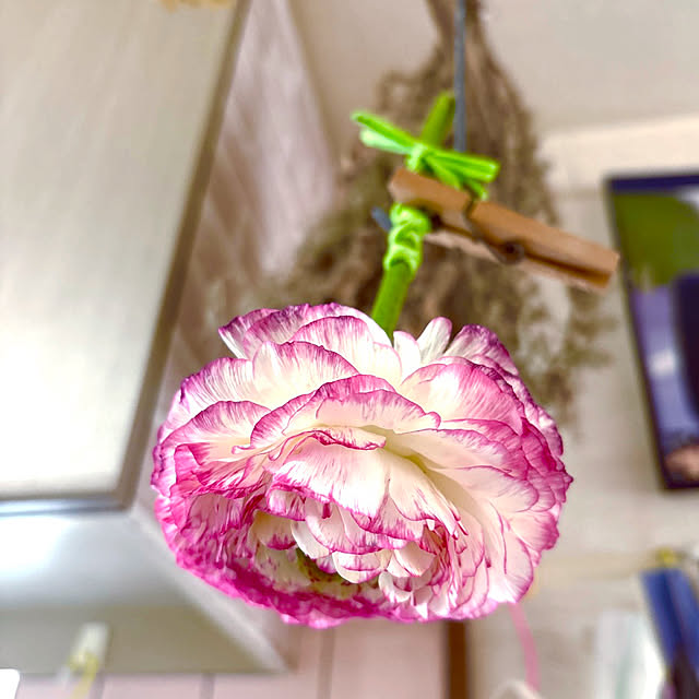 takakoさんの実例写真