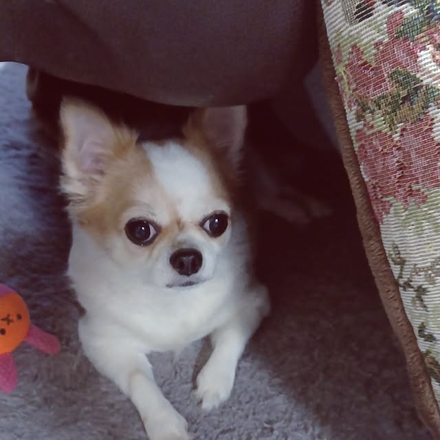 hiro.904さんの部屋