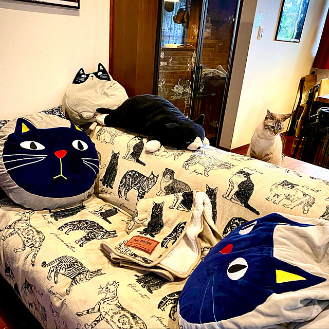 butachanさんの実例写真