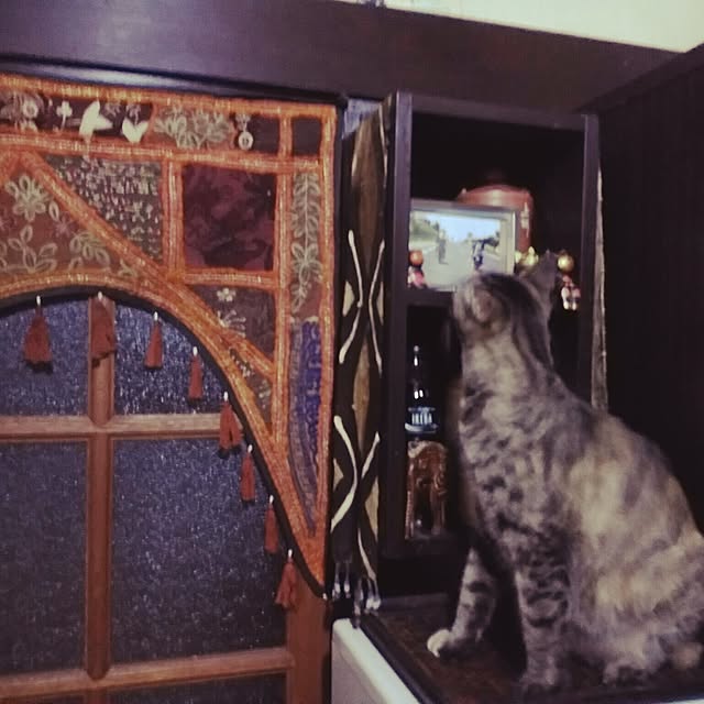 catLoverさんの実例写真