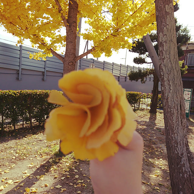 tomo3さんの実例写真