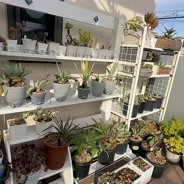 yaiyai38さんの部屋