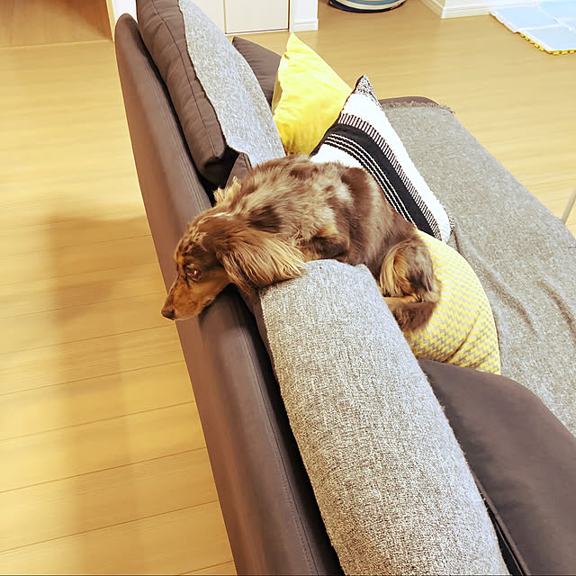 cocoaさんの実例写真