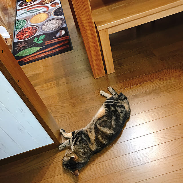 pepeさんの実例写真