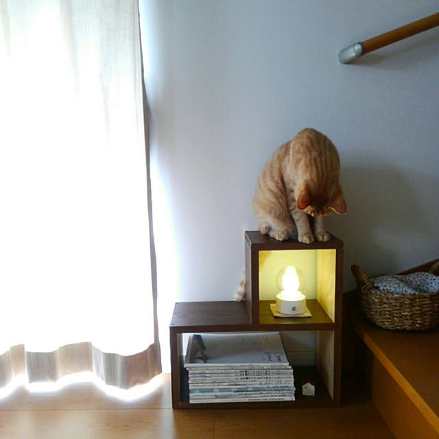 mayutan.さんの実例写真