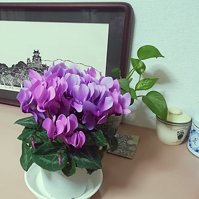 iwachaさんの実例写真