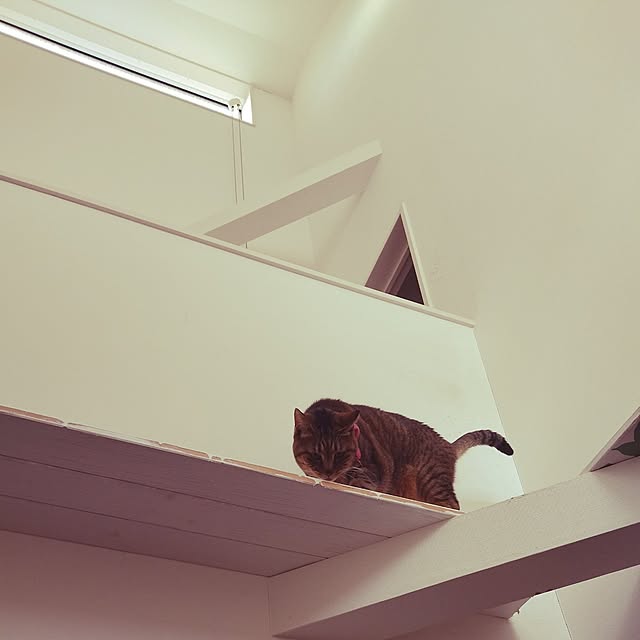 naonamiさんの部屋