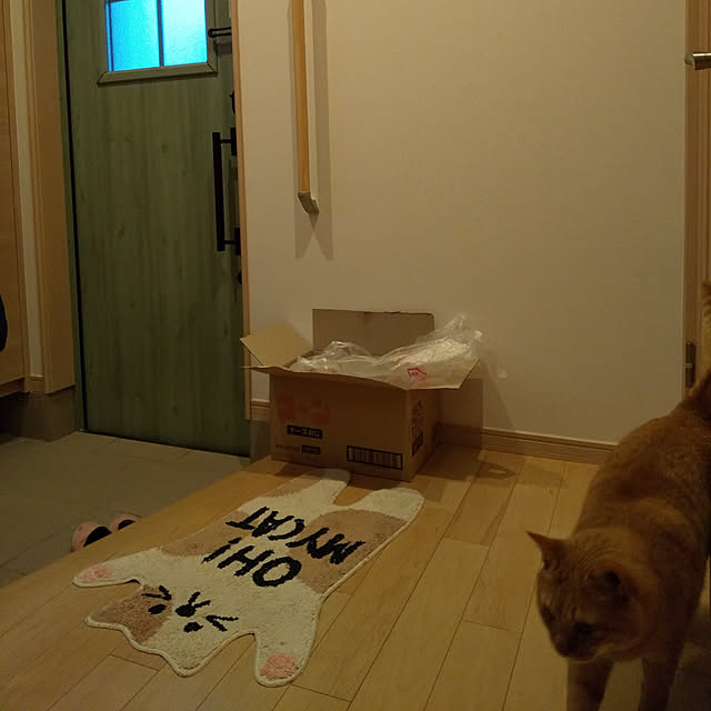 chikoさんの実例写真