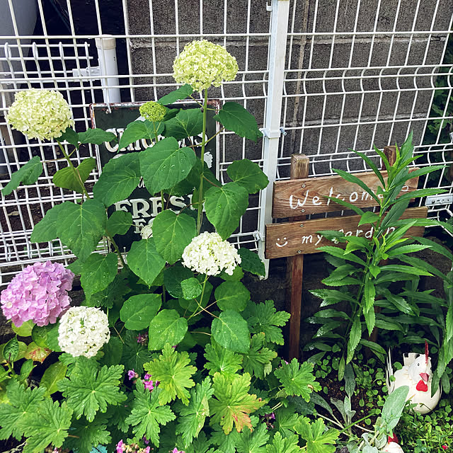 CoCo0617さんの実例写真