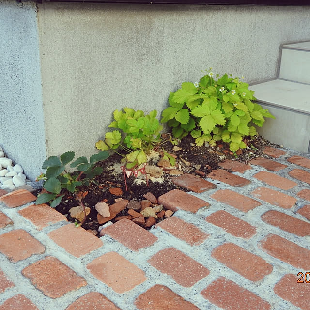 ght0315さんの実例写真