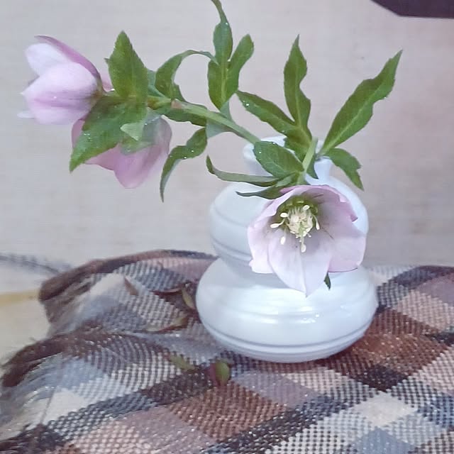 hiro.904さんの実例写真