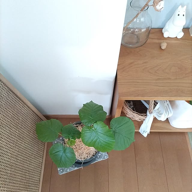 sakiさんの実例写真