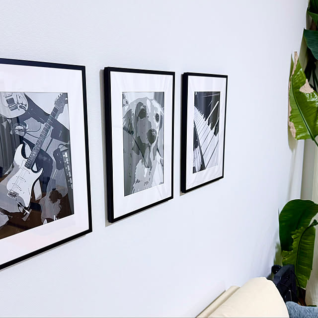 sakura-51さんの実例写真