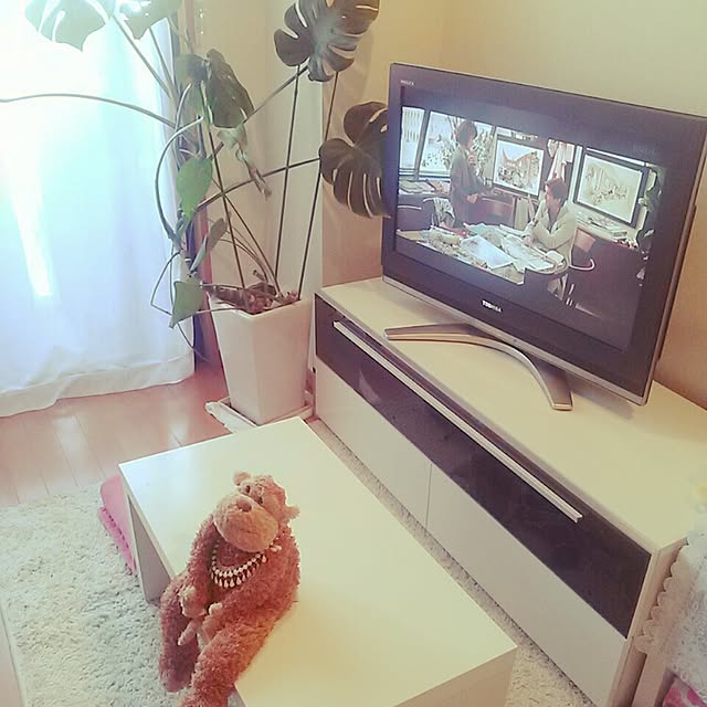 kazzさんの実例写真