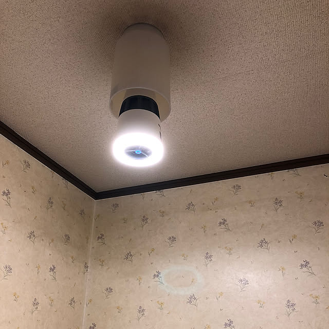 chariqpさんの実例写真