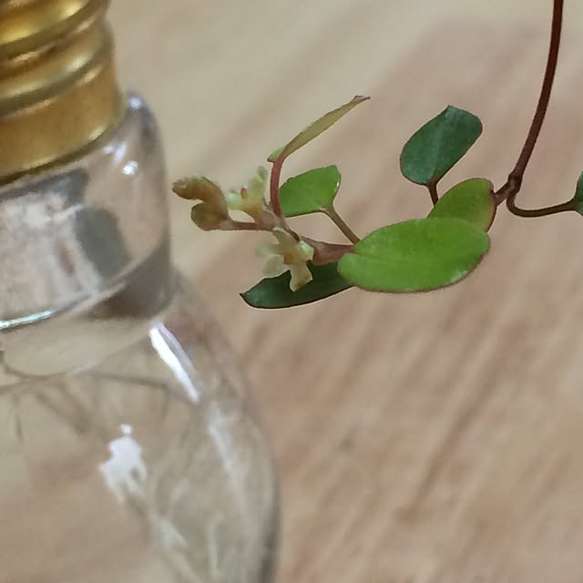 sarry0322さんの実例写真
