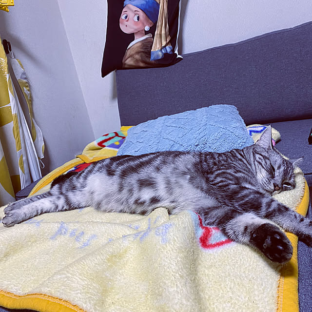 yuzuaoさんの実例写真