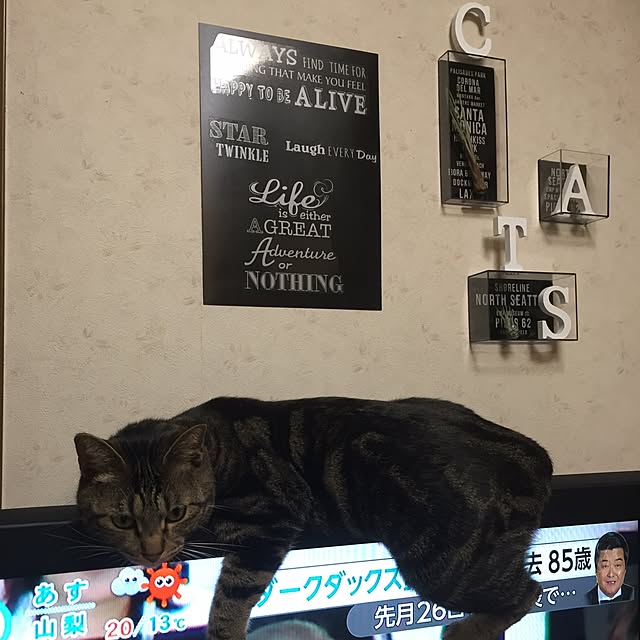 lucy0214さんの実例写真