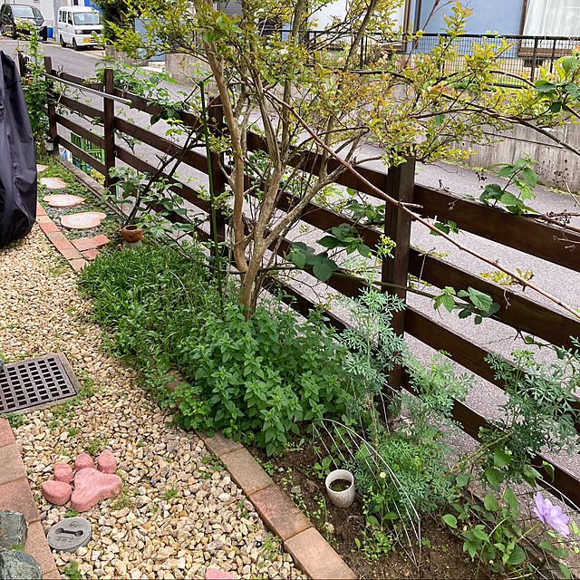Shokoさんの実例写真