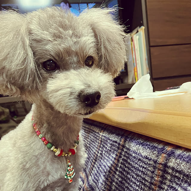 coochanさんの部屋