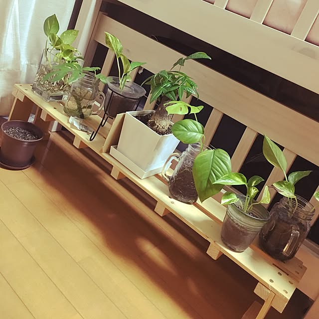 cheb1007さんの実例写真