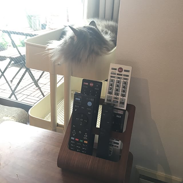 Ryokoさんの実例写真