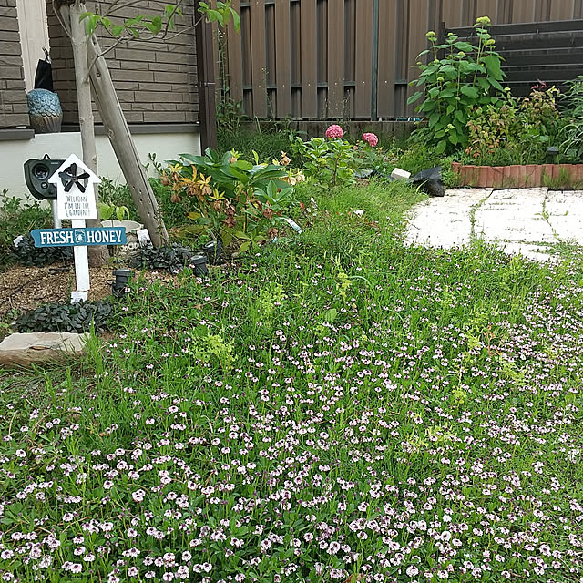 clover2018さんの実例写真