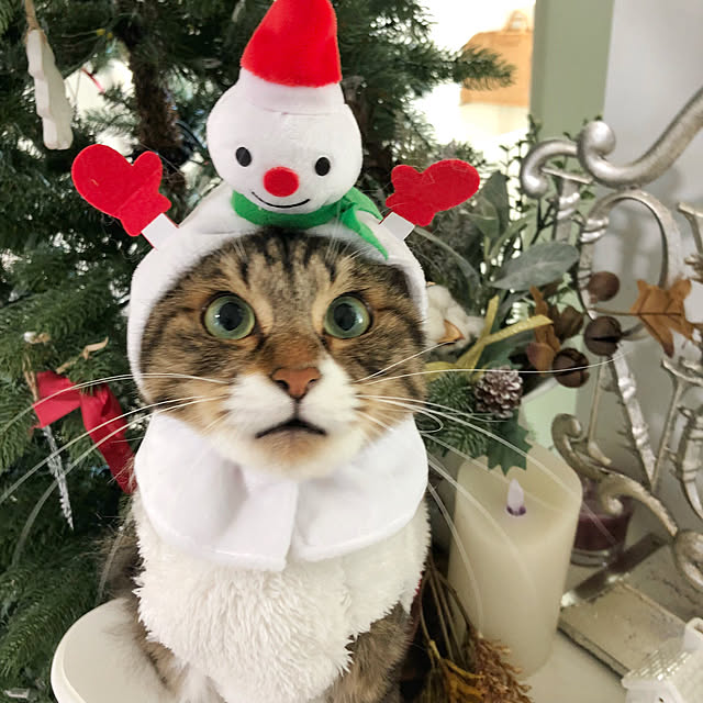 yuchiさんの実例写真