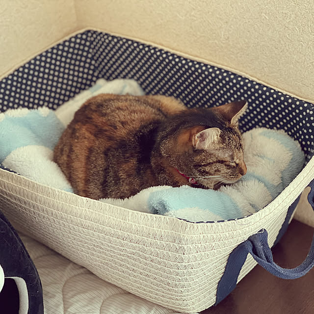 chiiさんの実例写真