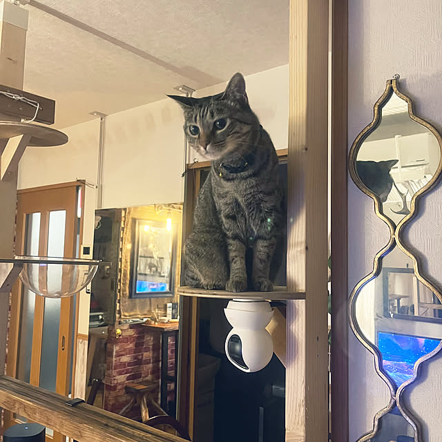 Mさんの部屋