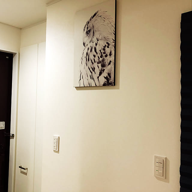 1k2raさんの実例写真