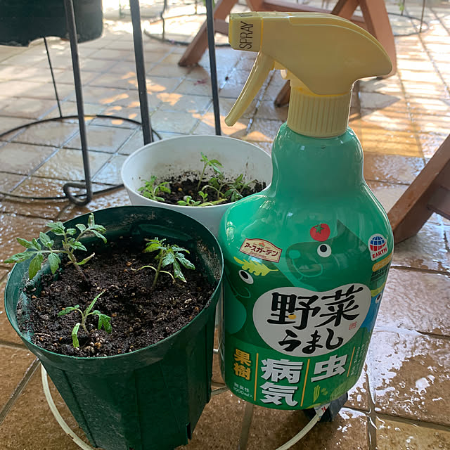 Aqettyさんの部屋