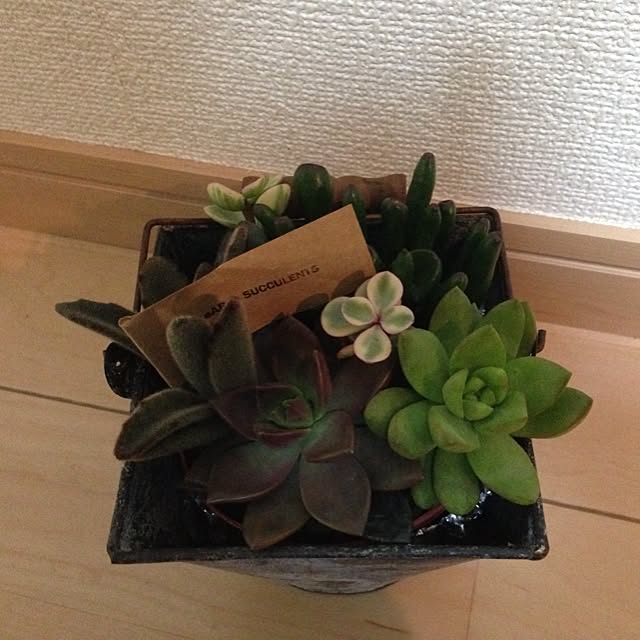 hikaru3018さんの実例写真